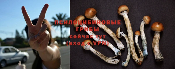 ALPHA-PVP Алексин