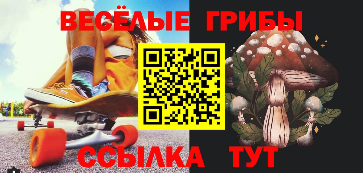Галлюциногенные грибы Cubensis Амурск
